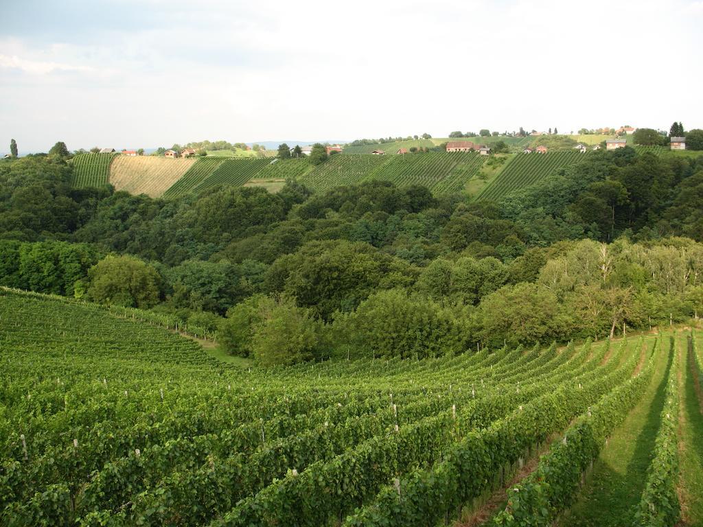 Turisticna Kmetija Dervaric Séjour à la ferme Ljutomer