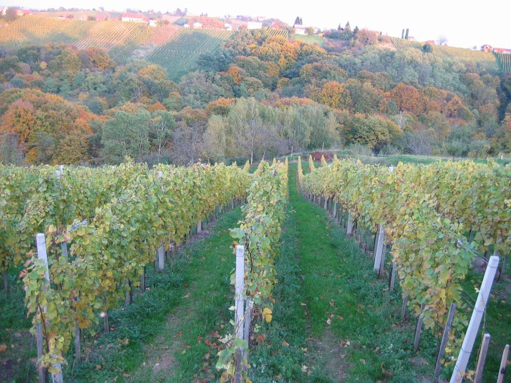 Séjour à la ferme Turisticna Kmetija Dervaric *