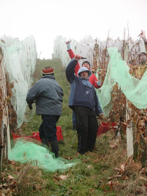 Séjour à la ferme Turisticna Kmetija Dervaric